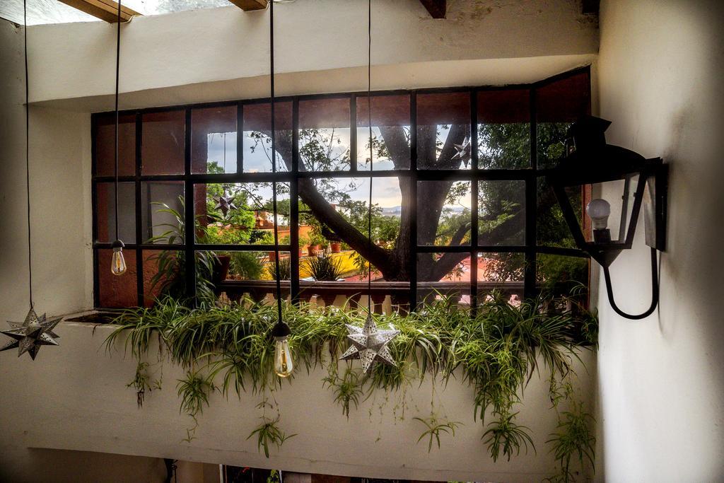 Coqueta Hotel Boutique San Miguel de Allende Eksteriør bilde